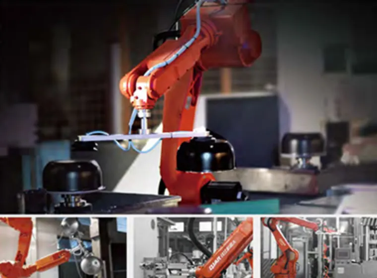 Environmental resistance of EVS QJR8-700 automation robot