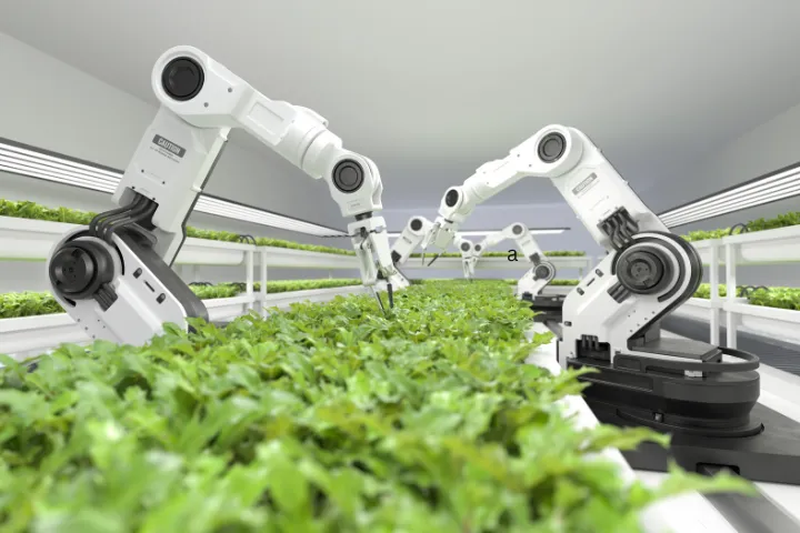 Robotics in agriculture automation for smart farming