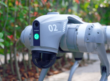 Unitree Go2 robot with advanced perception and navigation system