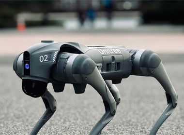 Unitree Go2 robot with versatile connectivity options